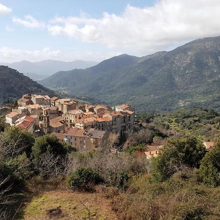 فيلا Casa Corsa Santa-Lucia-di-Tallano المظهر الخارجي الصورة